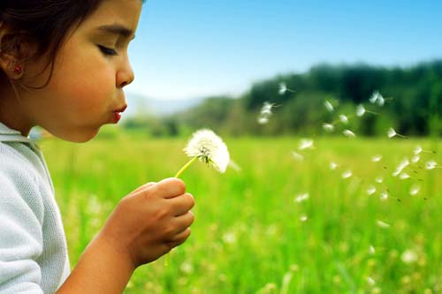 Photo of child blowing out dandelion