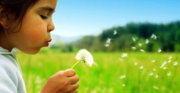 Photo of girl blowing dandeilion surrounded by green grass
