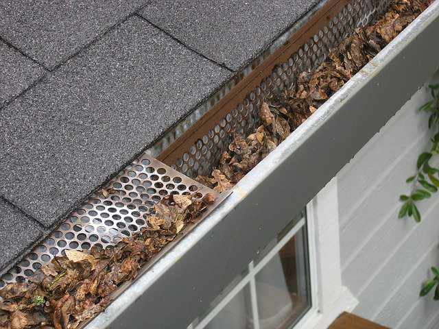 Photo of a home roof with gutters and a gutter guard